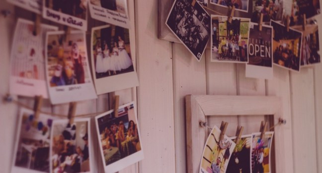 Envira Gallery - Best WordPress Photo Gallery Plugin