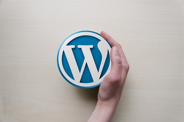 WordPress Logo in Hand