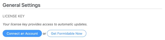 formidable forms global settings page to enter license key