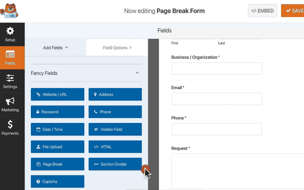 add page breaks to wordpress form