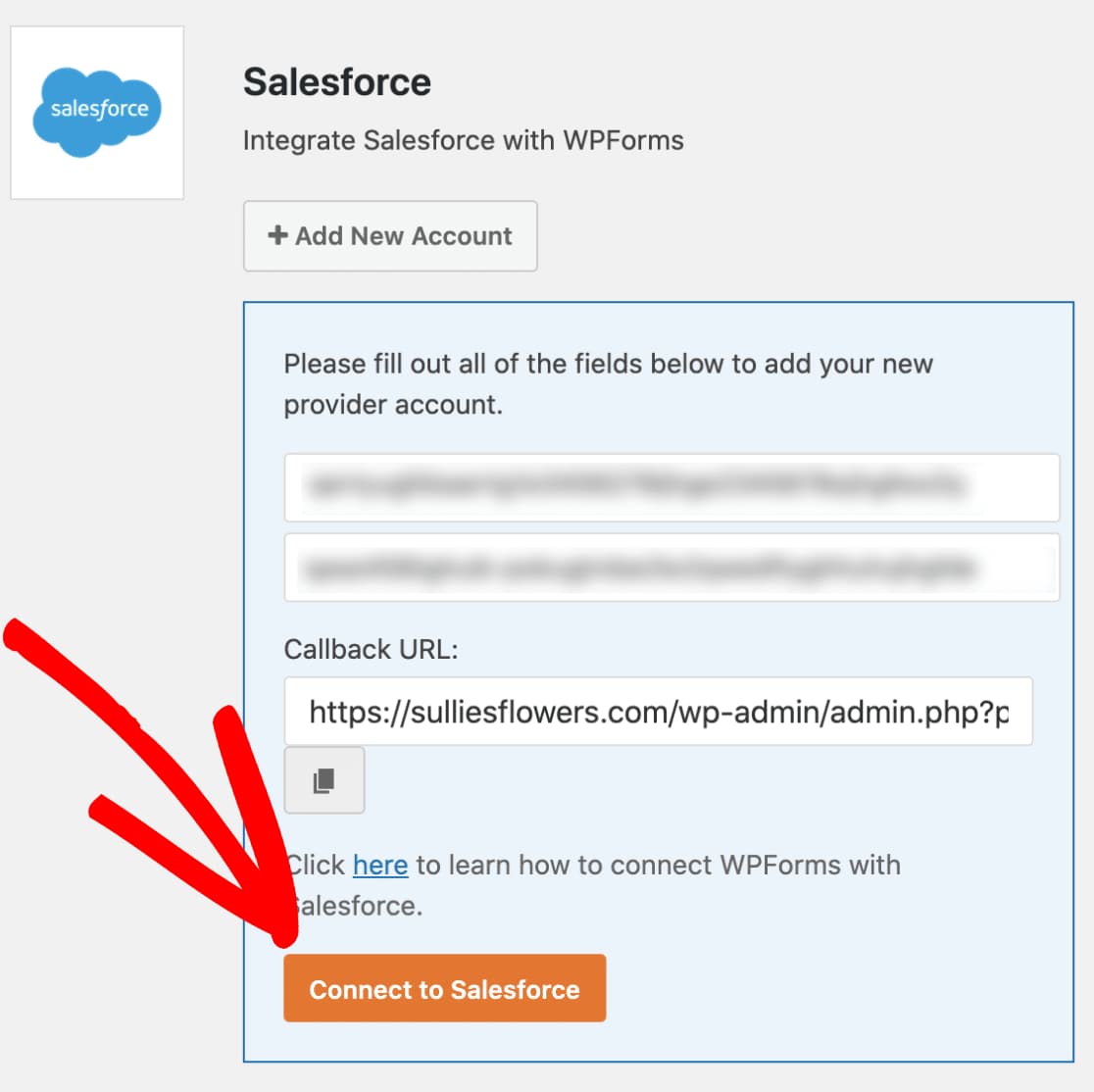 connect wpforms to salesforce