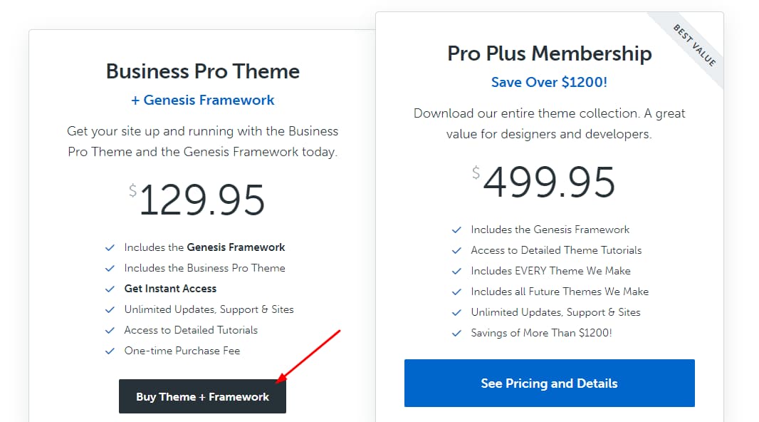 buy only one genesis child theme