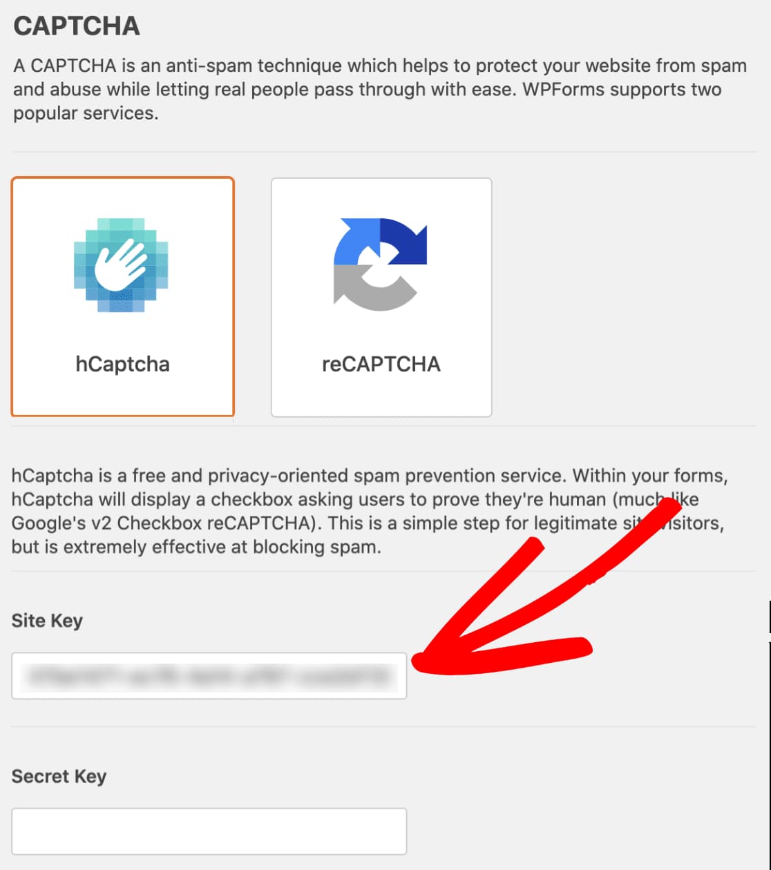 wpforms add hcaptcha site key
