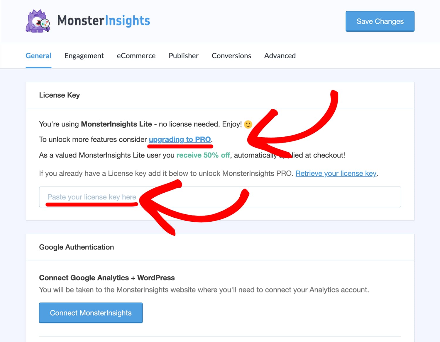 paste monsterinsights license key