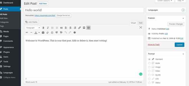 WordPress Classic Editor experience