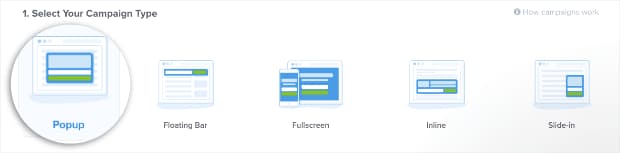 choose optin monster campaign types