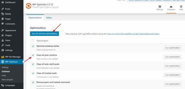 Run WP Optimize database optimization