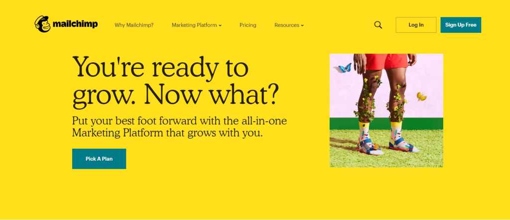 mailchimp email marketing platform