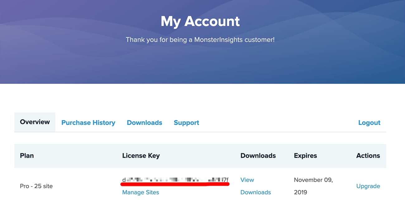 copy monsterinsights license key