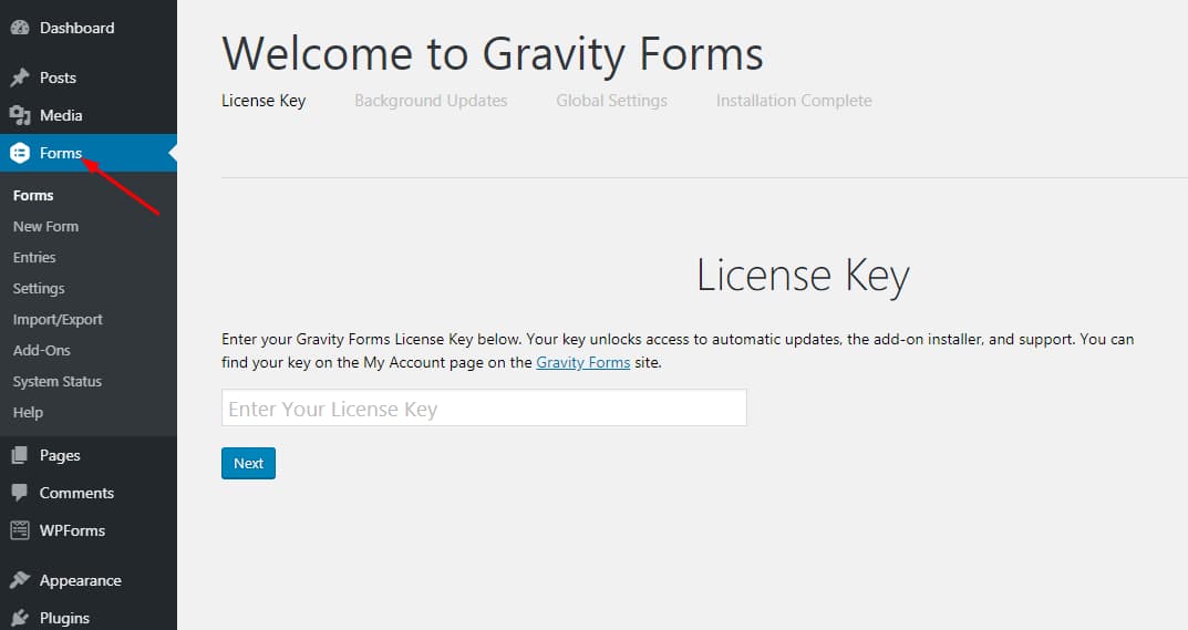 enter gravity forms license key