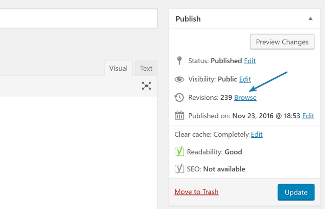 large number of post revisions in WordPress