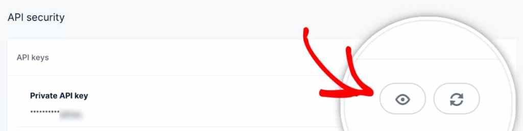 mailgun private api key
