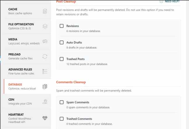 WP Rocket database settings