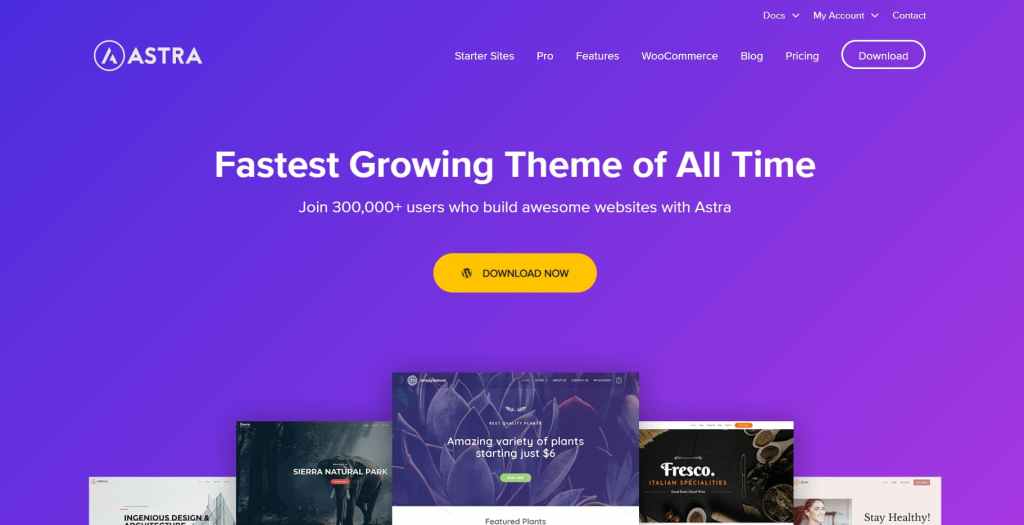 wp astra - the best and lightweight wordpress business theme